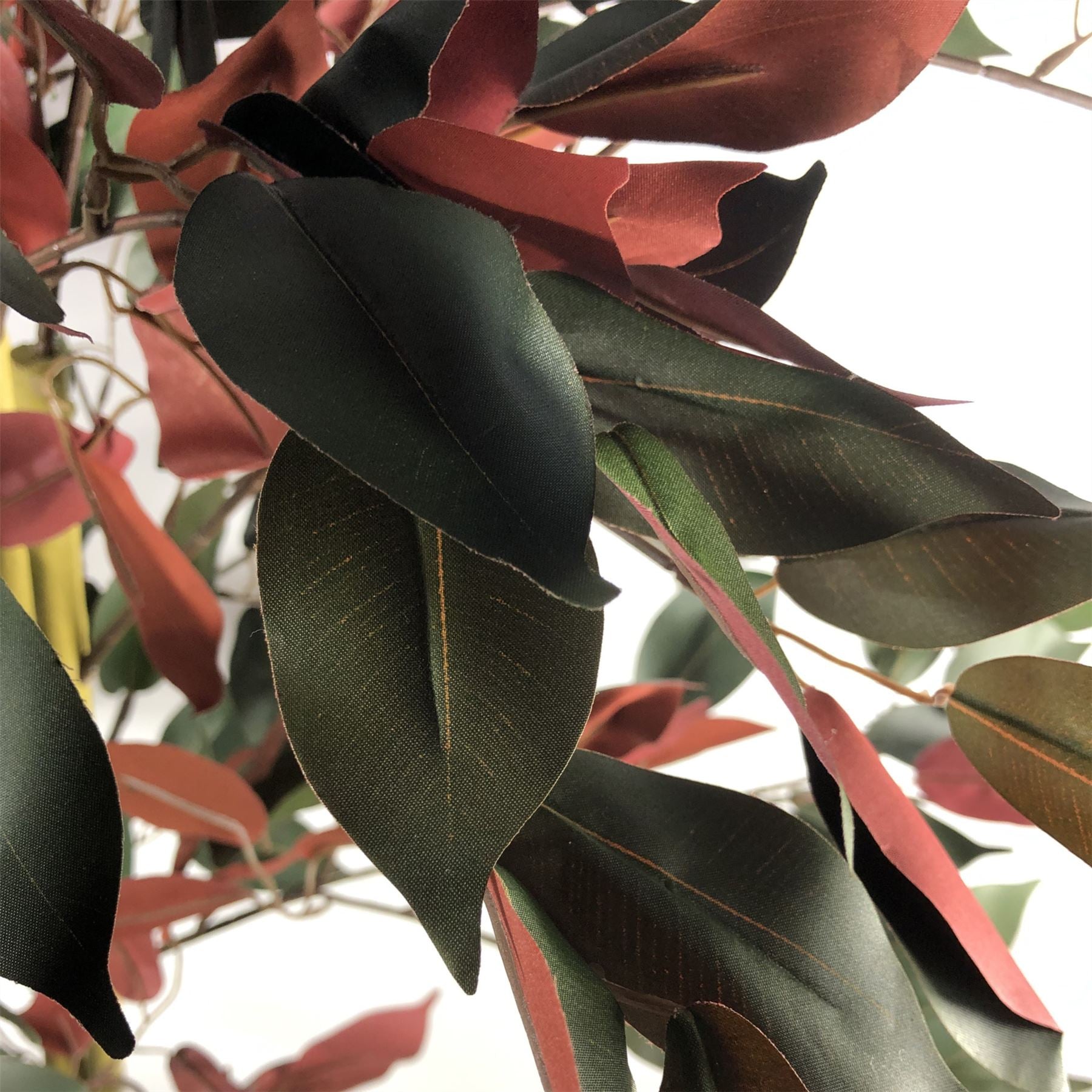 Leaf 120cm (4ft) Artificial Dark Red and Green Capensia Tree, Extra Large, Real Wood Trunk, Weighted Pot