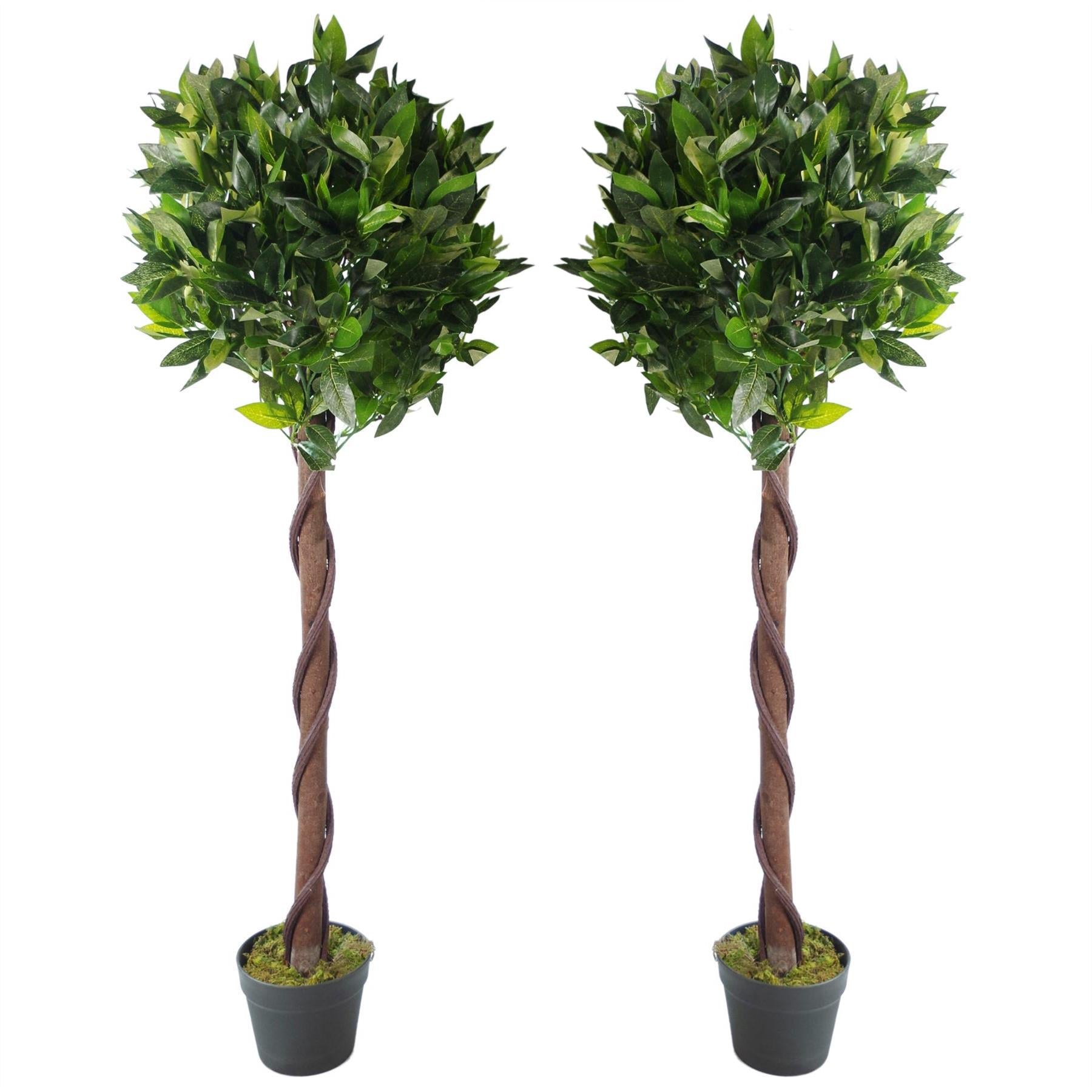 Pair of 120cm Artificial Twisted Trunk Topiary Bay Laurel Ball Trees