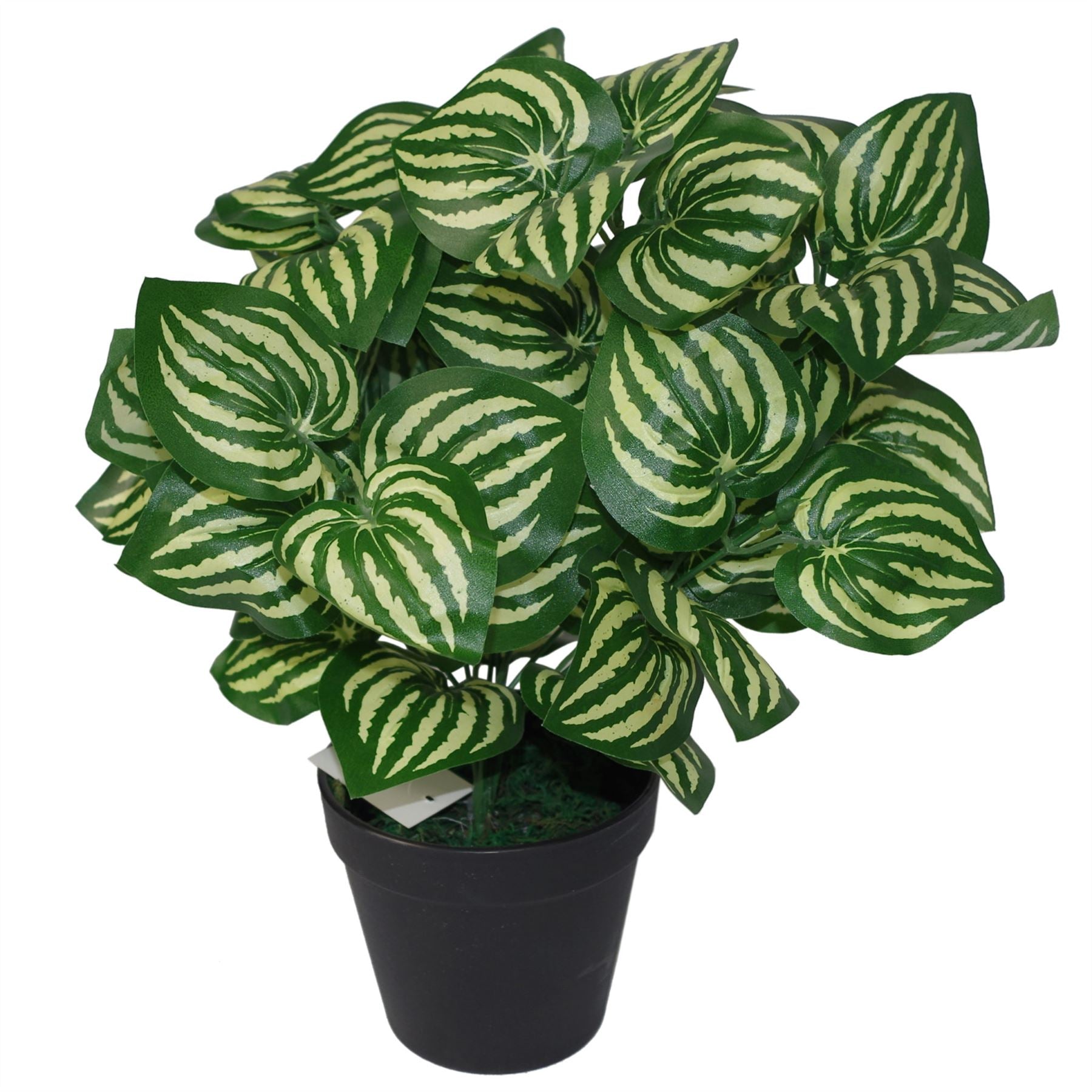45cm Artificial Watermelon Style Leaves Plant in Plain Black Plastic Pot
