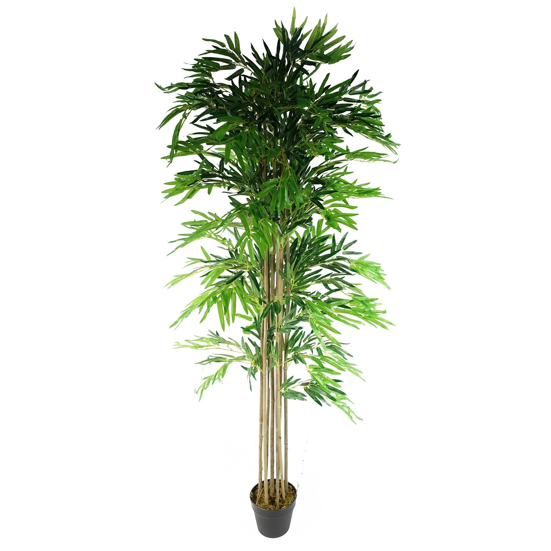 Leaf 180cm / 6ft Artificial Bamboo Tree Green in Black Plastic Pot