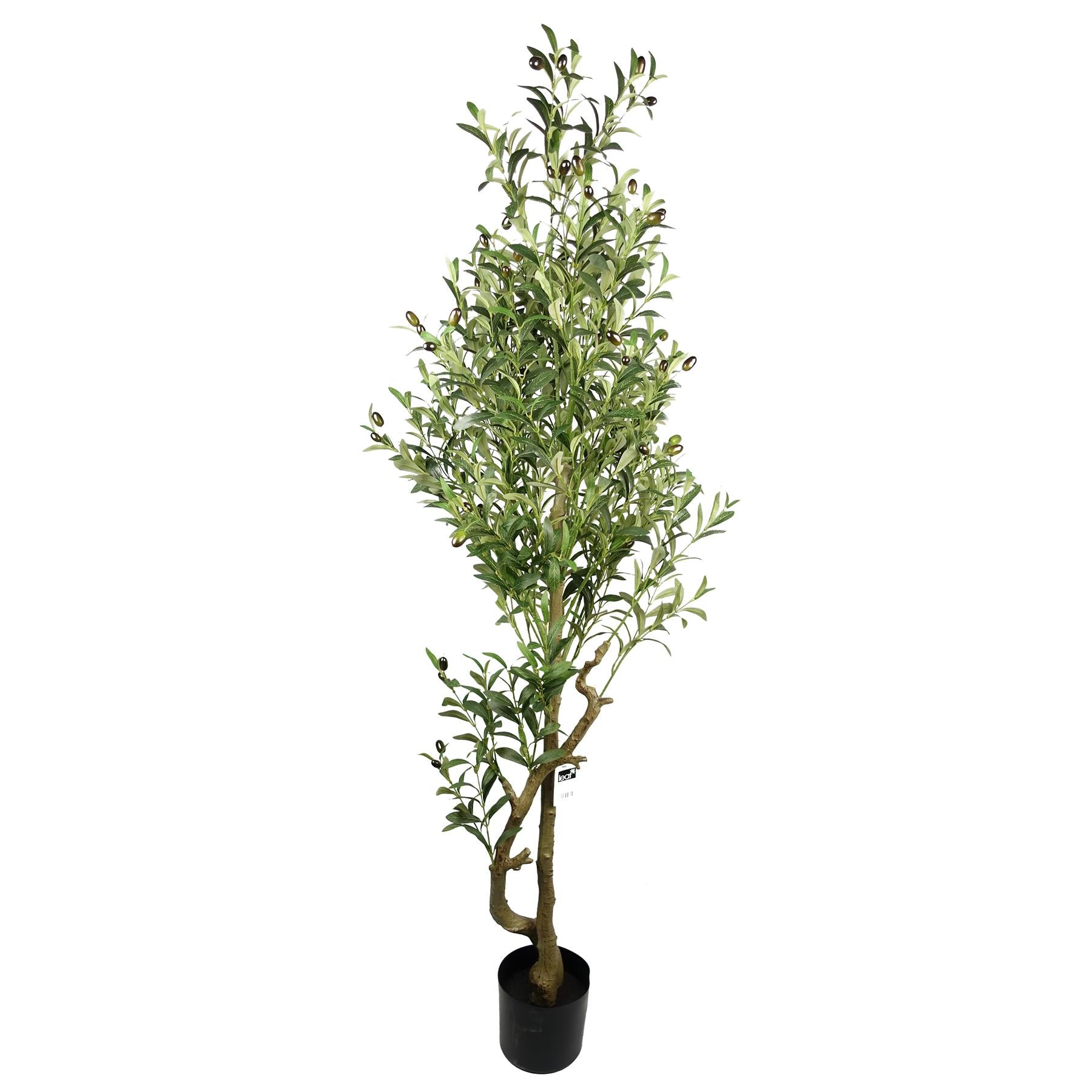 Leaf 160cm Artificial Olive Tree with 1296 Leaves and 72 Olives