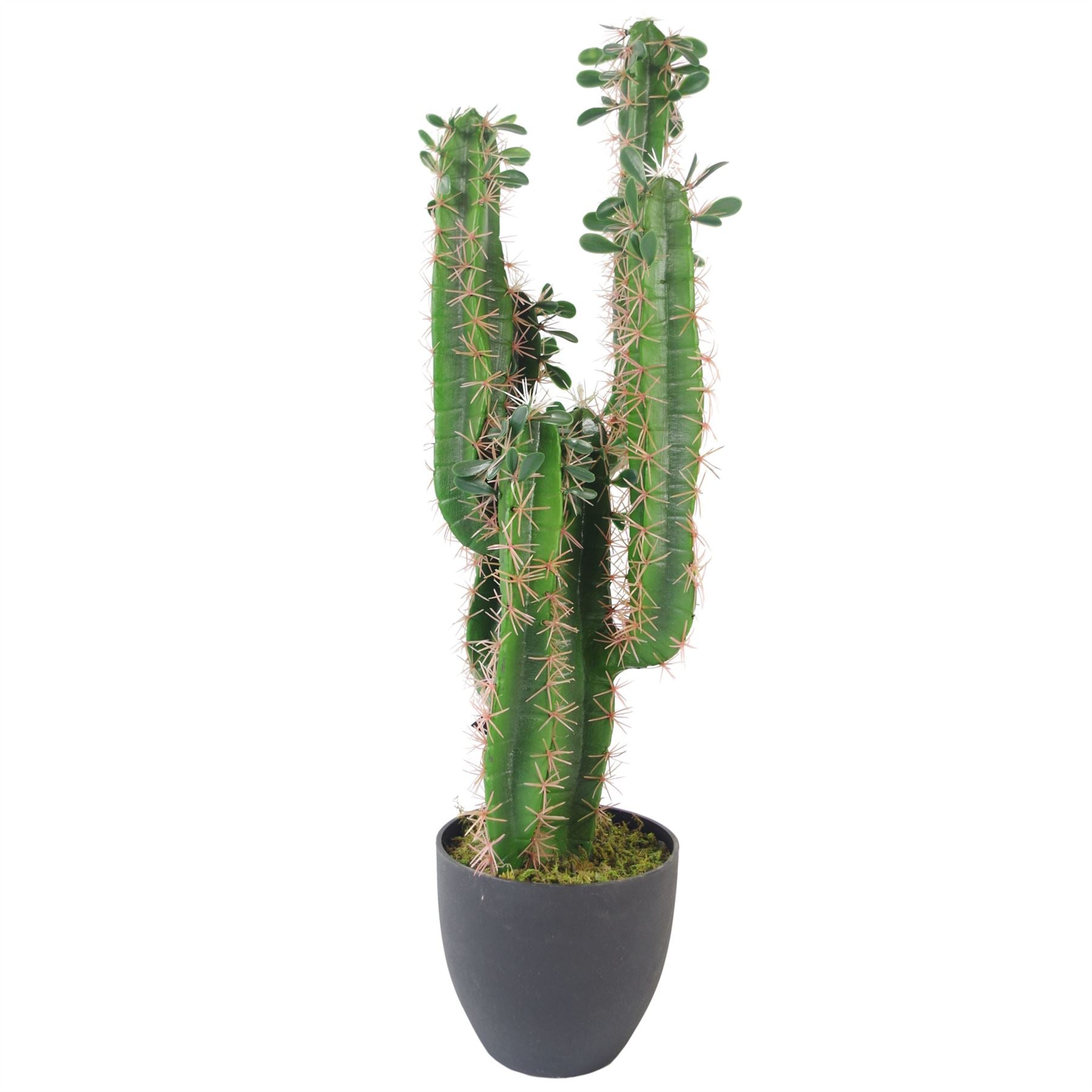 Leaf Premium 75cm Artificial Cactus in Weighted Black Pot