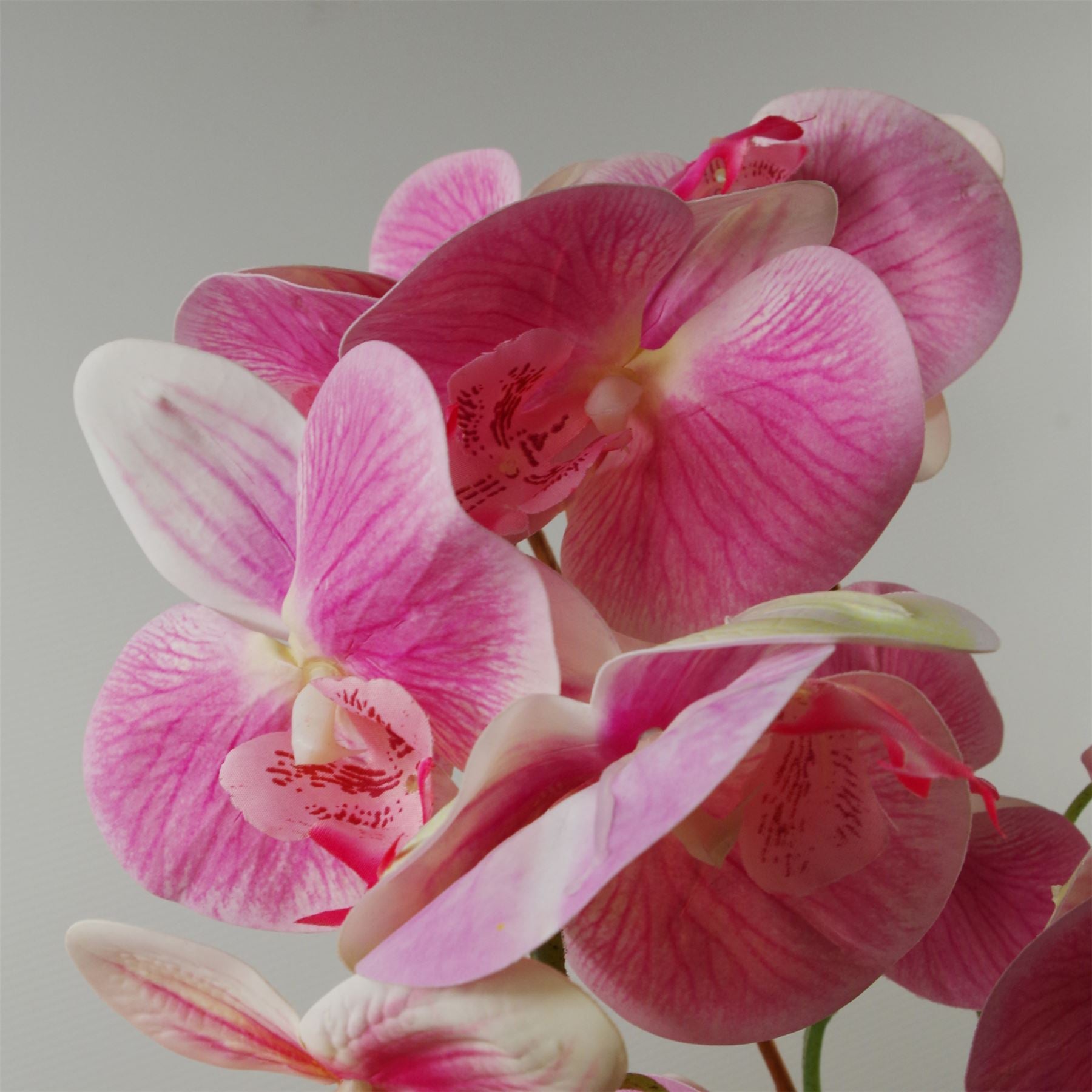 Leaf 70cm Artificial Light Pink Artificial Orchid in Black Ceramic Planter