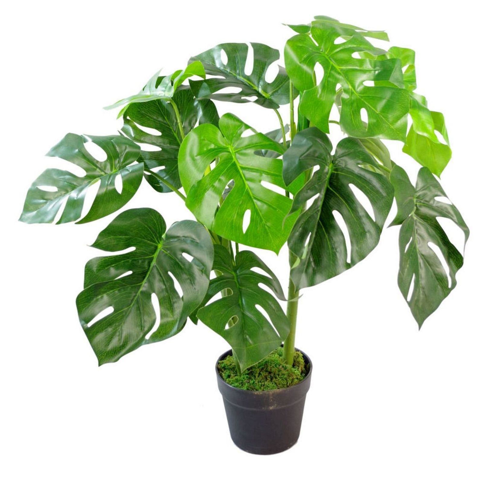 80cm Realistic Artificial Monstera Cheese Plant in Moss-Covered Pot by Leaf