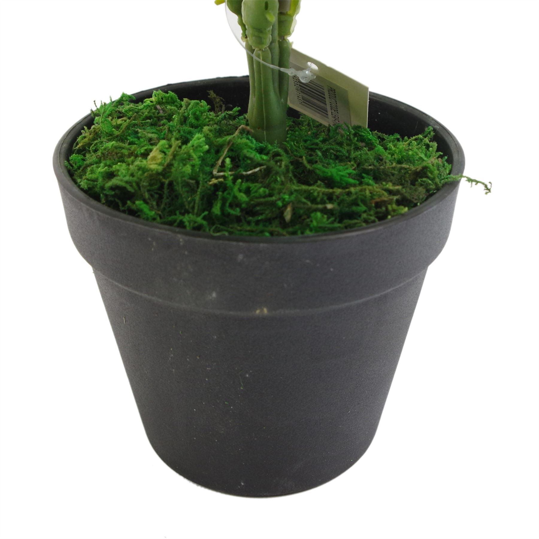 Leaf 50cm Realistic Artificial Fern Plant in Weighted Plastic Pot