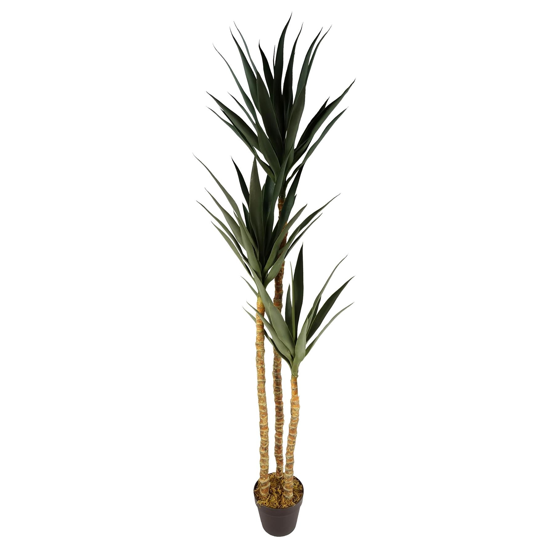 Leaf 170cm Artificial Triple Yukka Tree Tropical Plant in Weighted Pot