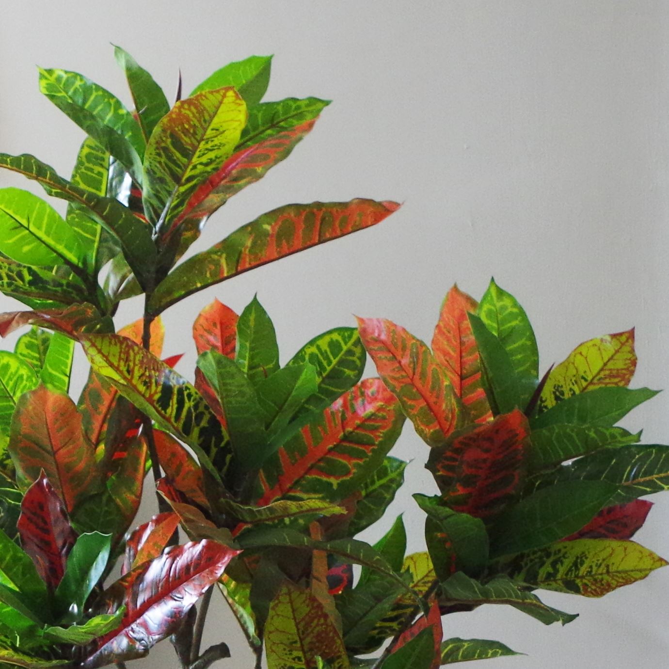 Leaf 130cm Artificial Codiaeum Variegatum Tree in Pot