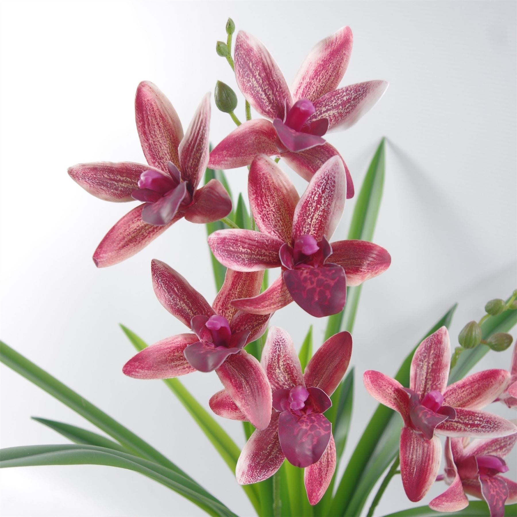 Leaf 50cm Dark Pink Artificial Orchid in Ceramic Planter, Fully Potted Ready to Display