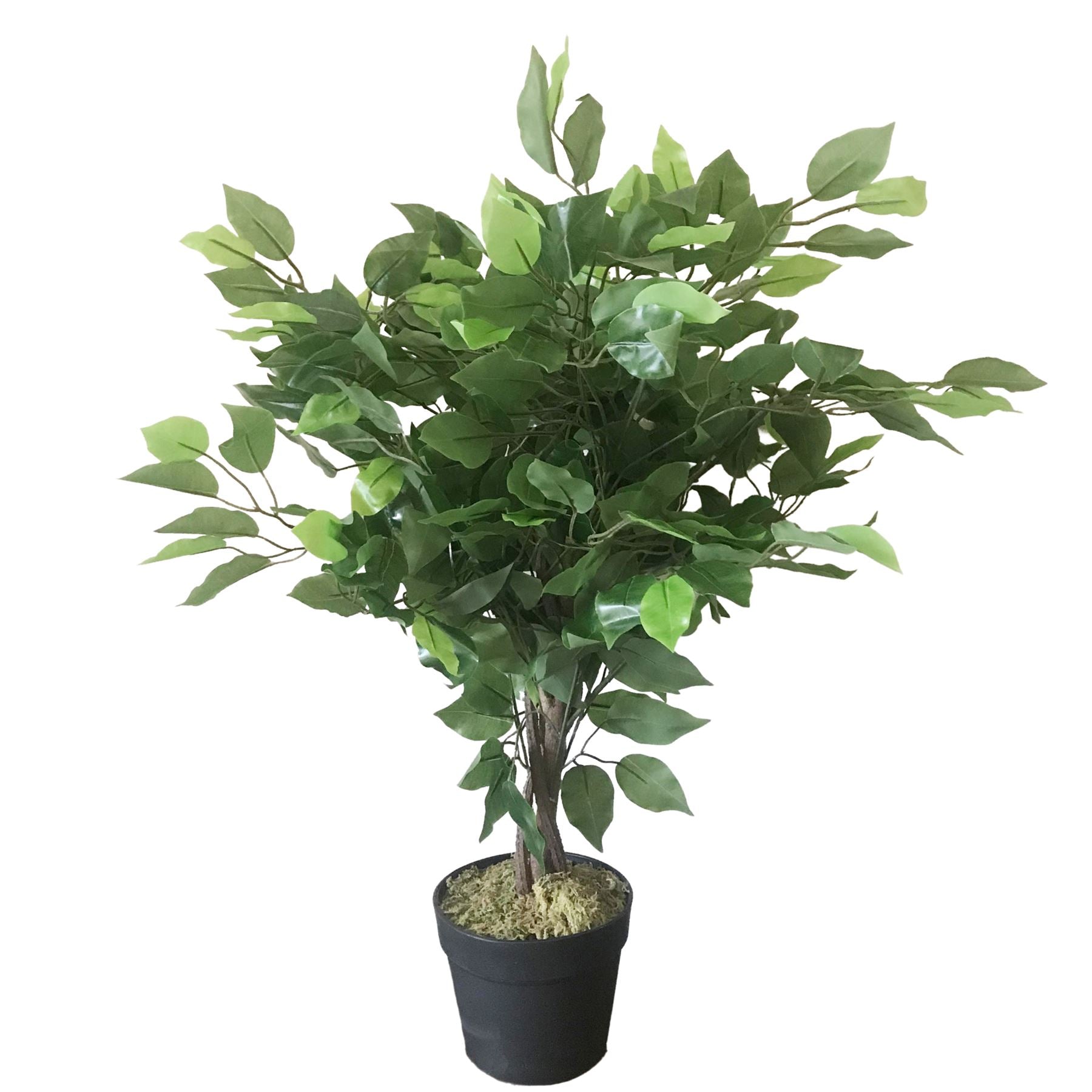 Leaf 60cm Artificial Ficus Tree with Natural Trunk, Wired Stems, Potted Indoor Plant