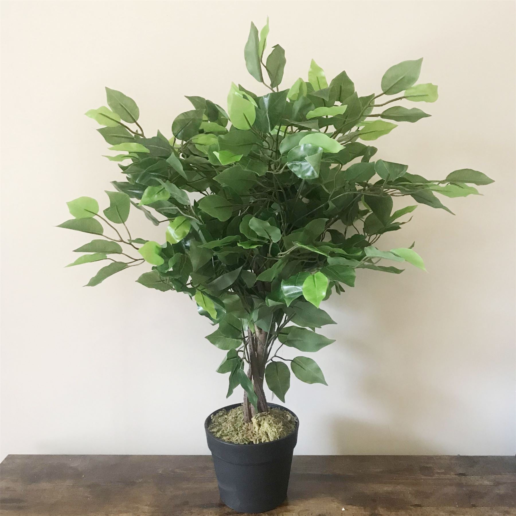 Leaf 60cm Artificial Ficus Tree with Natural Trunk, Wired Stems, Potted Indoor Plant