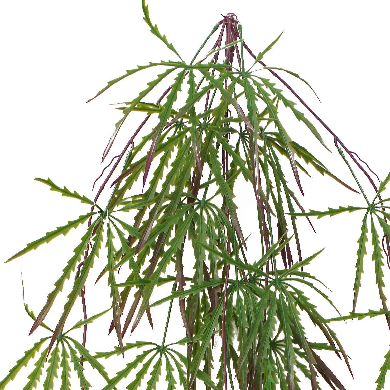 Leaf 100cm Artificial Hanging Acer Plant, 29 Leaves, Wired Vines