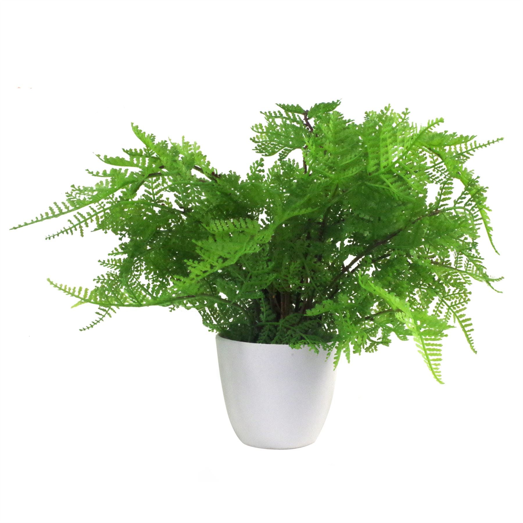 30cm Artificial Potted Lady Fern (Athyrium filix-femina) in White Rounded Plastic Pot
