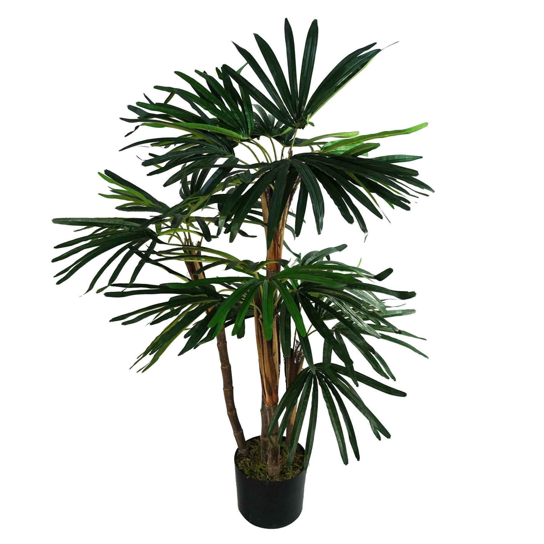 Leaf 100cm Artificial Raphis Palm Tree in Black Plastic Pot