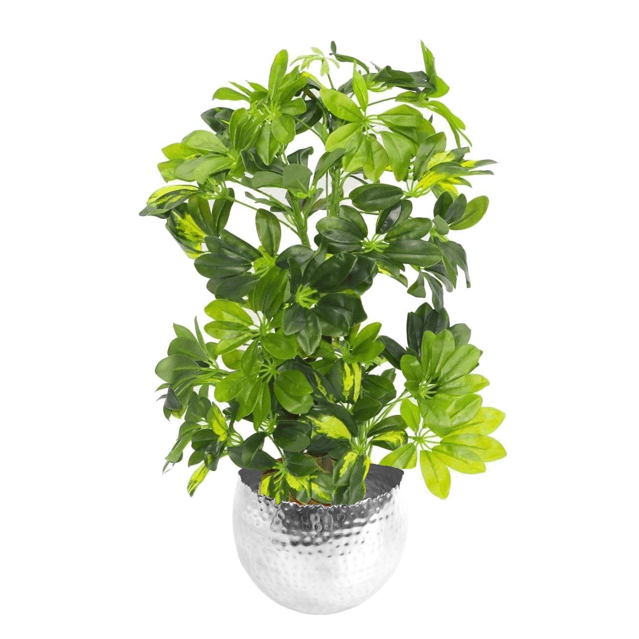 Leaf 75cm Artificial Arboricola Gold Capella Plant with Silver Metal Planter