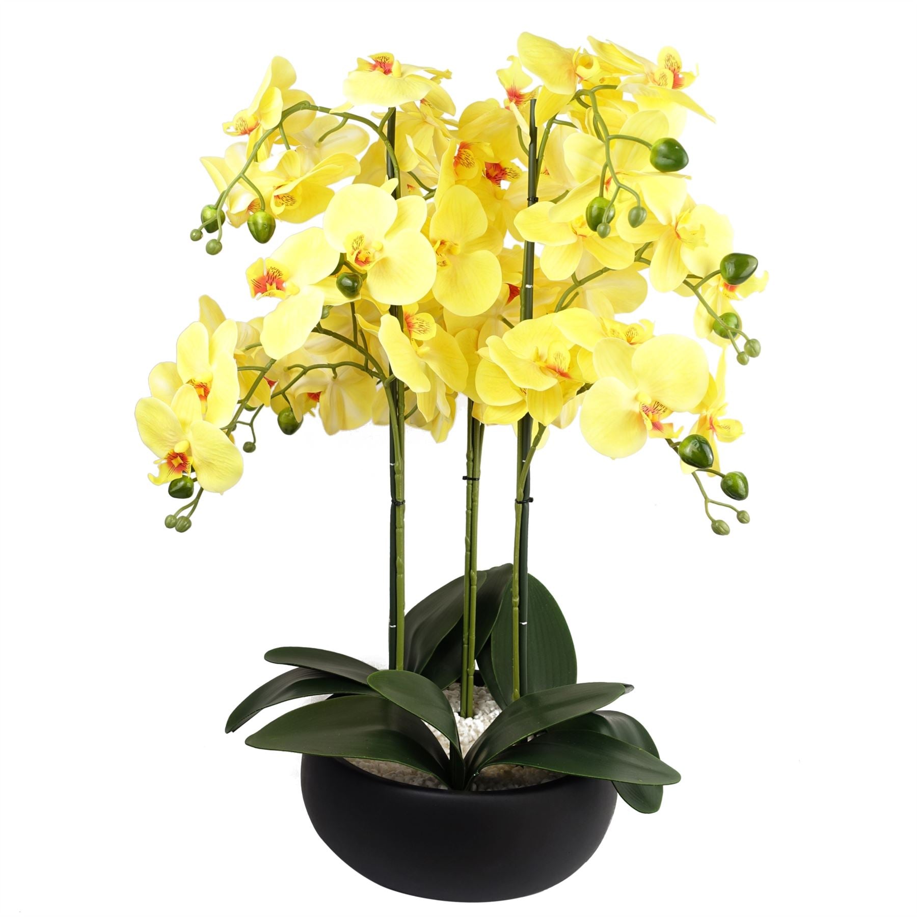 Leaf 60cm Artificial Orchid with Ceramic Planter