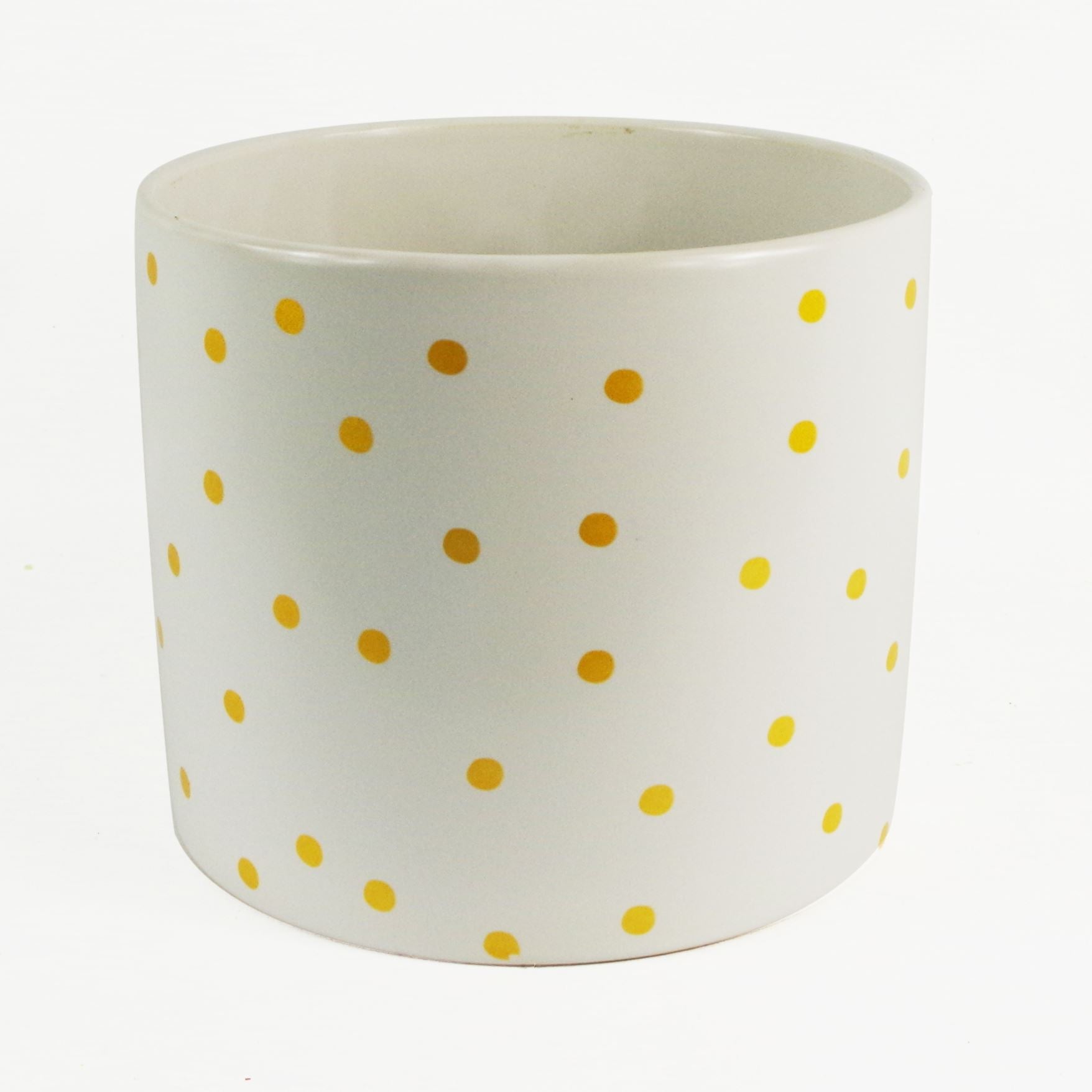 Leaf Gold Dot Indoor Plant Pot 18 x 18 x 15cm