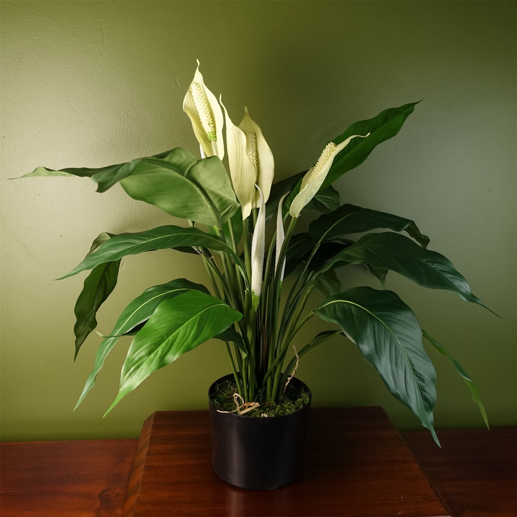 Leaf Artificial White Peace Lily Spathiphyllum Potted Indoor Plant, 60cm Tall