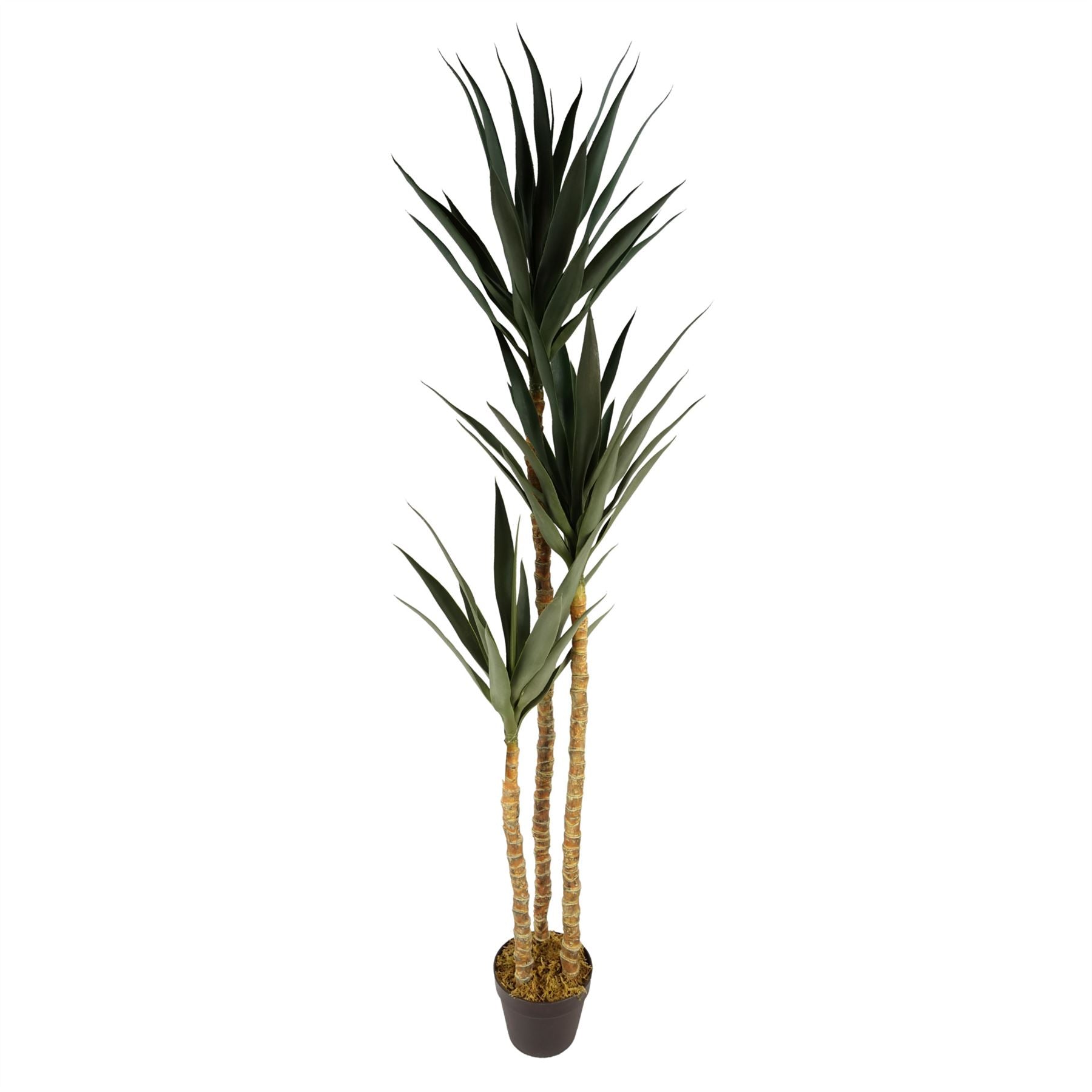 Leaf 170cm Artificial XL Triple Yukka Tree Plant, Spiky Realistic Plant in Plastic Pot
