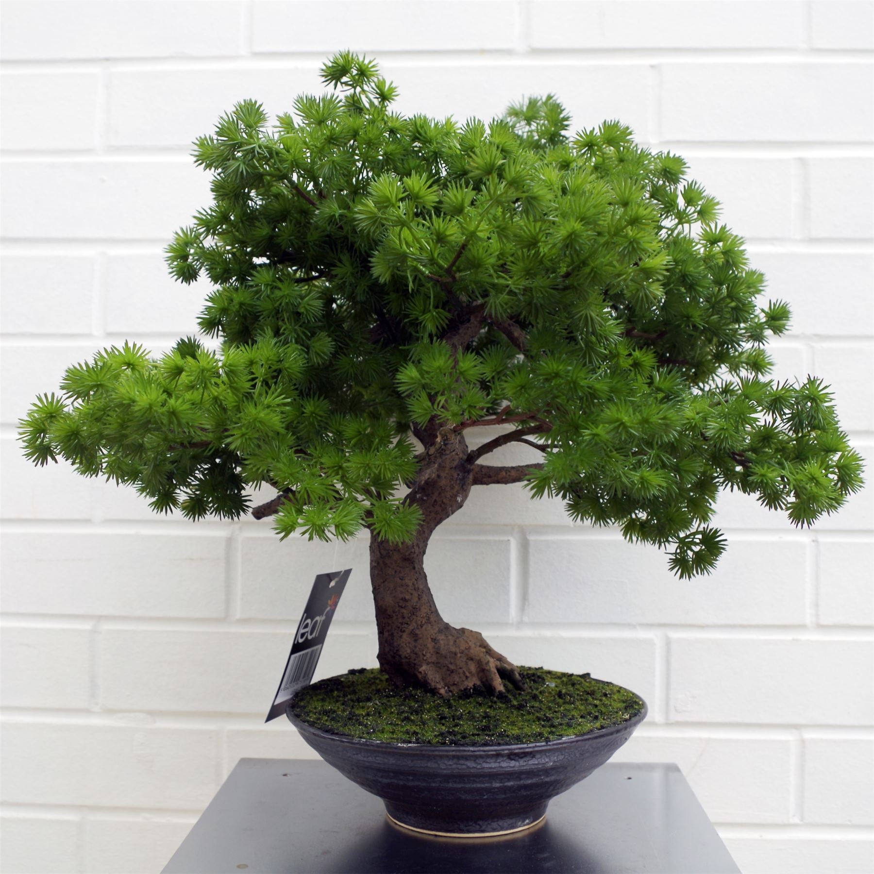 Leaf 50cm Artificial Pine Bonsai Tree in Black Ceramic Bowl Planter