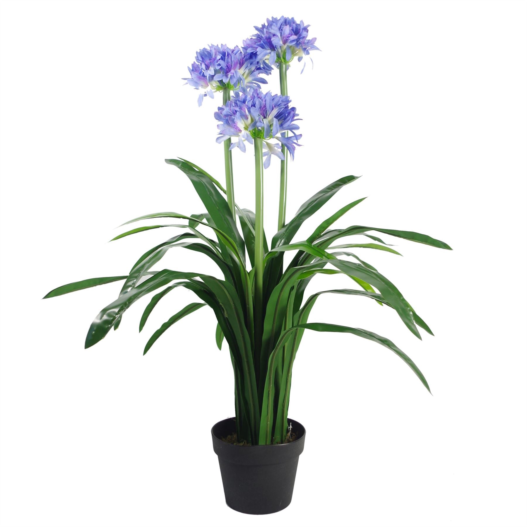 90cm Premium Artificial Agapanthus Plant with Pot