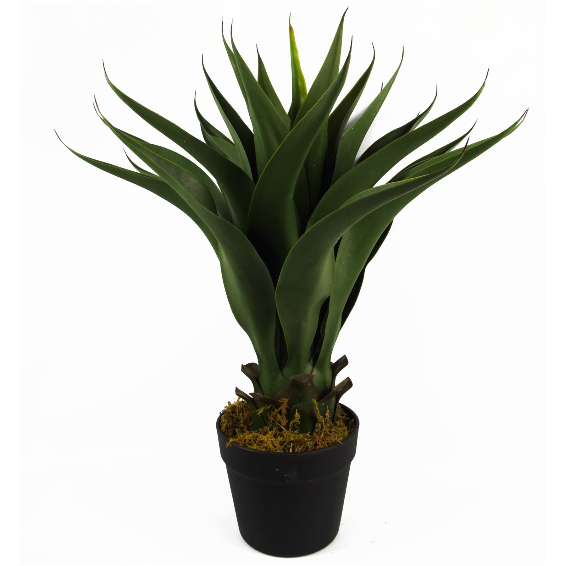 Leaf 55cm Artificial Yucca Plant in Plastic Pot
