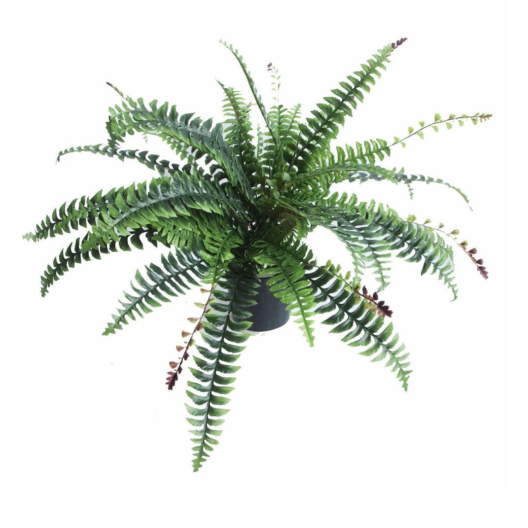 Artificial Bird’s Nest Fern Plant 60cm in Plastic Pot, Realistic Indoor Asplenium Nidus Fern