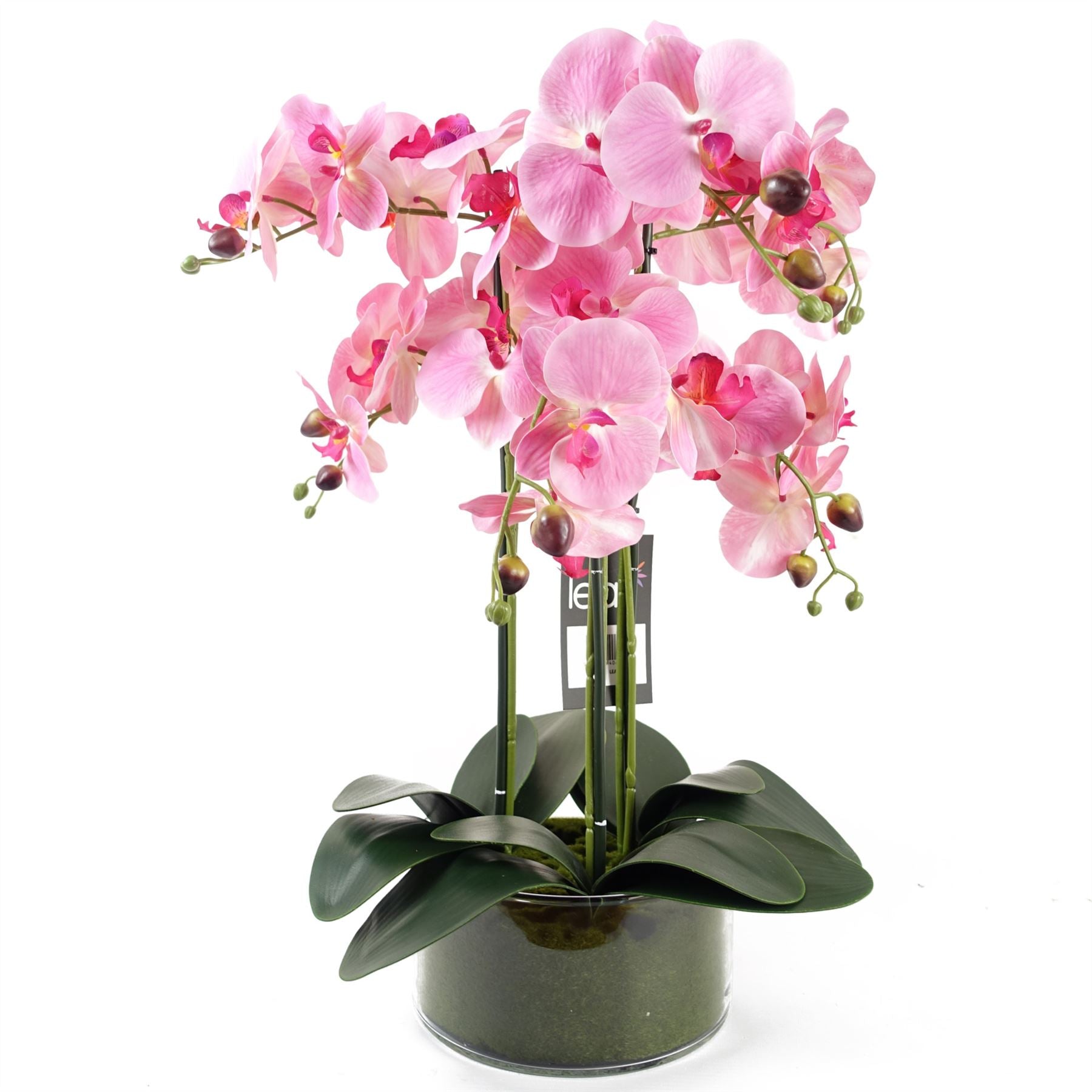Leaf 50cm Artificial Pink Orchid with Glass Planter