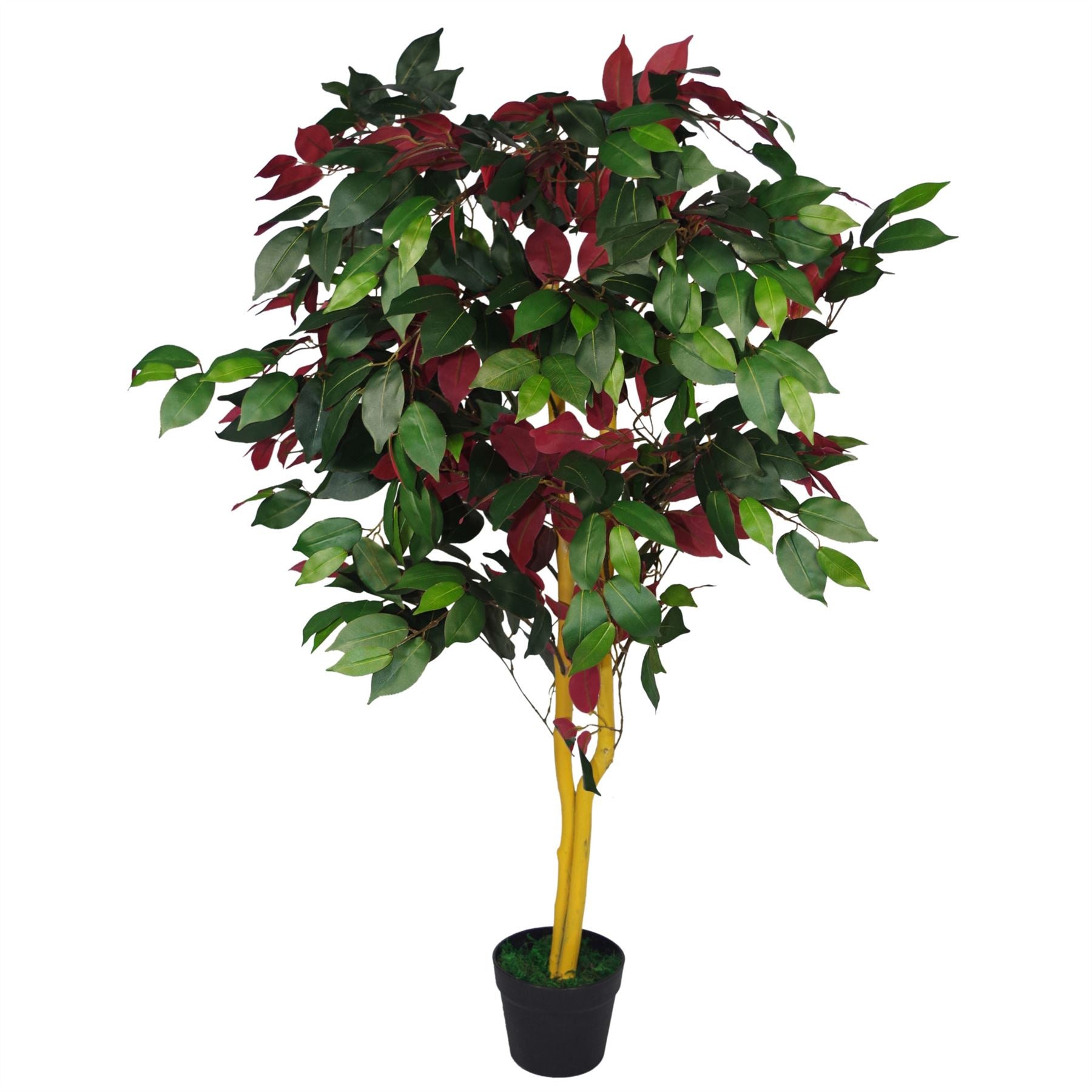 Leaf 120cm Artificial Capensia Ficus Tree Plant with Real Wood Trunk, Red and Green Foliage