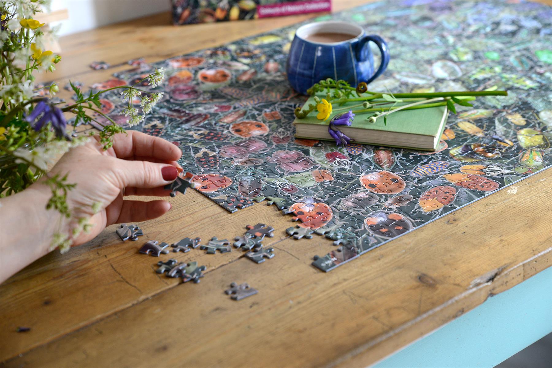 Natural History Museum Beetles 1000-Piece Jigsaw Puzzle