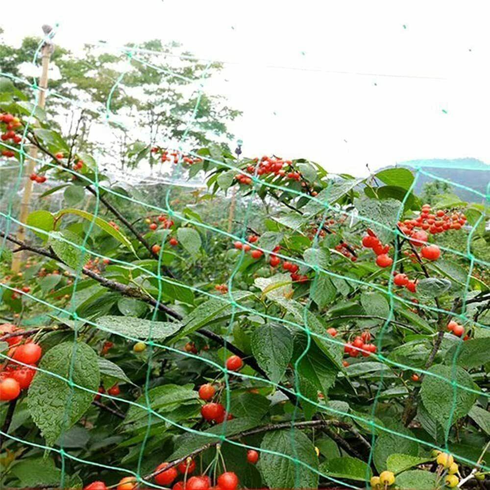 12 X GARDEN NETTING 2M X 10M
