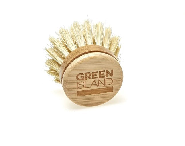 Green Island DISH BRUSH REPLACEABLE HEAD - REGN