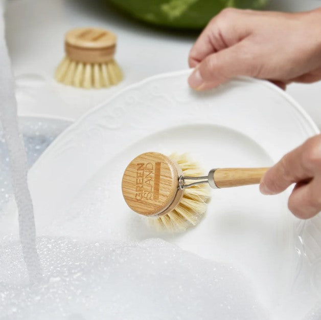 Green Island DISH BRUSH REPLACEABLE HEAD - REGN