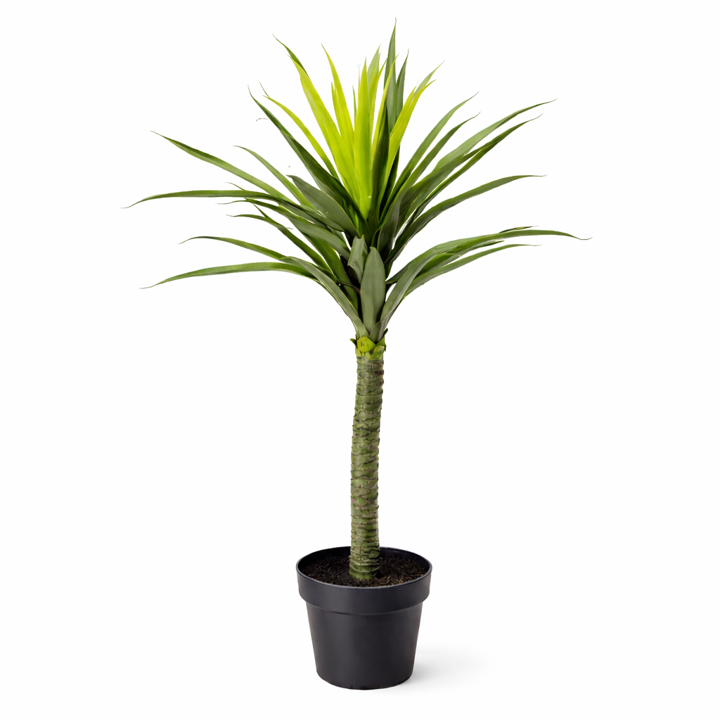 90cm Artificial Yukka Plant, Realistic Spiky Tree in Weighted Plastic Pot