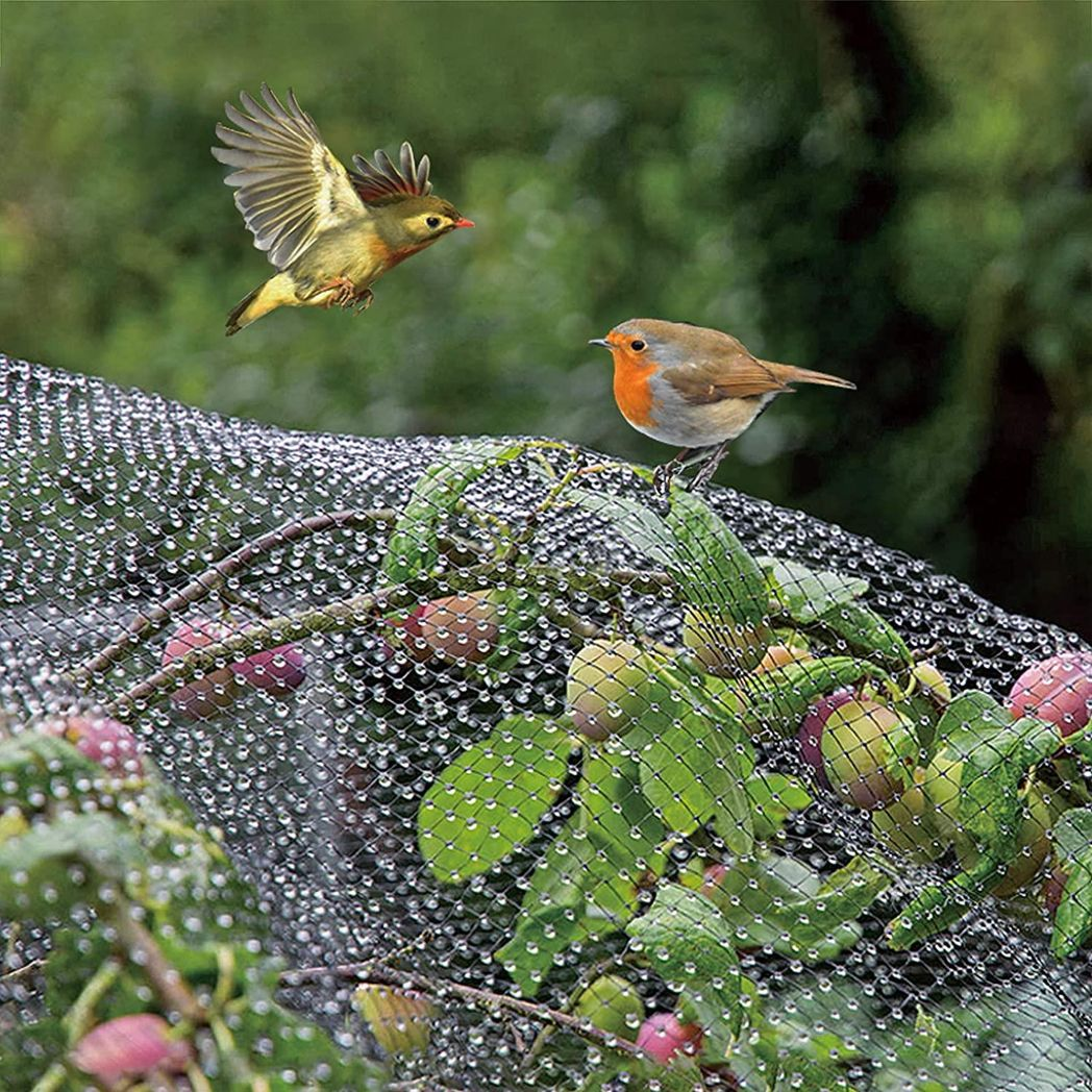 12 X GARDEN NETTING 2M X 10M