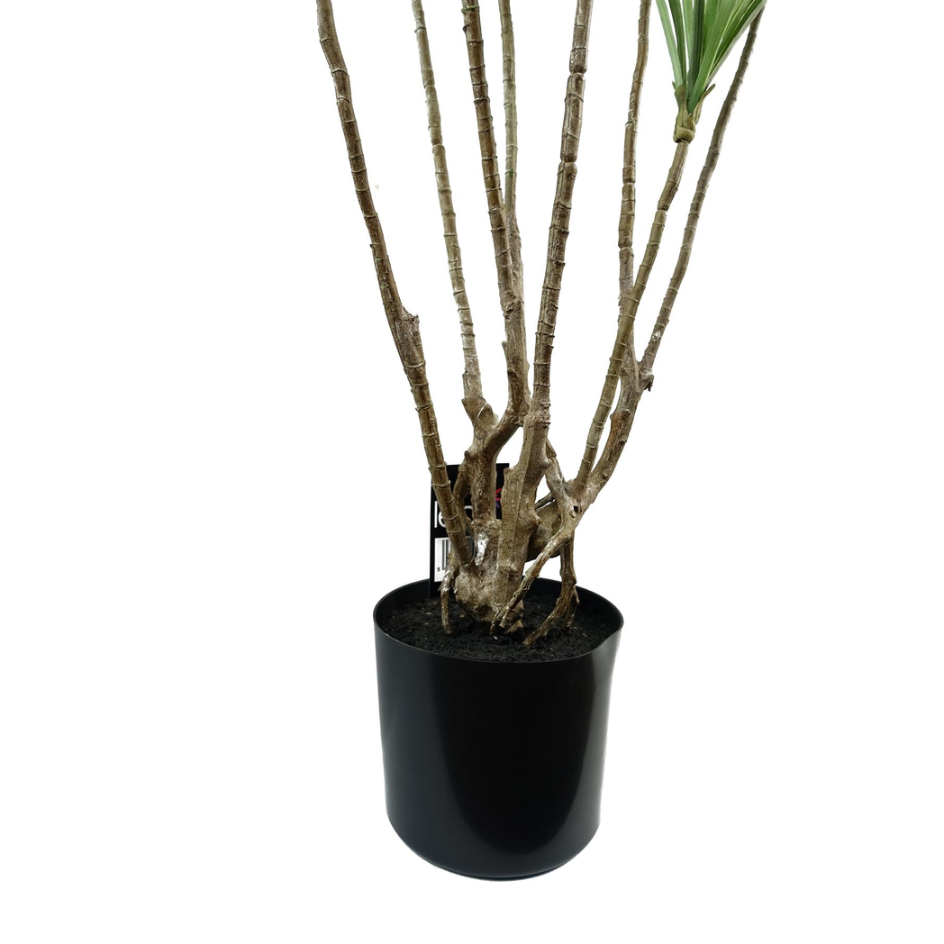 125cm Artificial Dragon Tree Dracaena Plant Natural Look in Weighted Black Pot by Leaf
