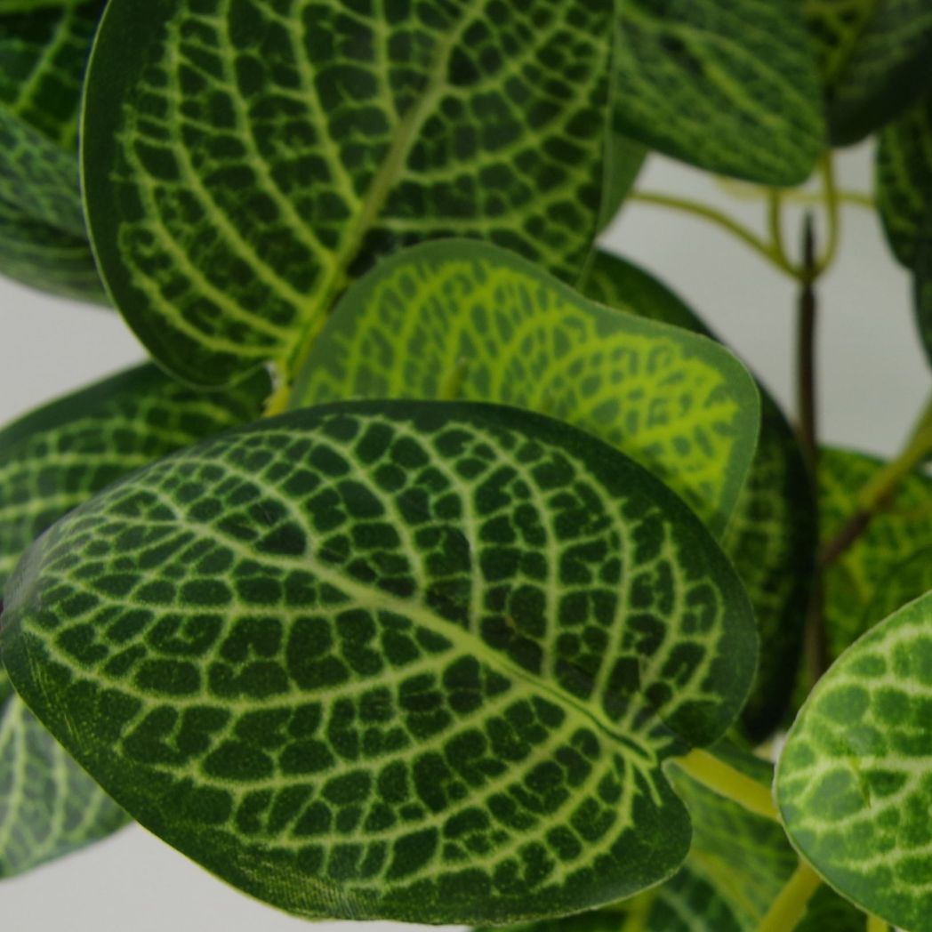 Leaf 40cm Artificial Variegated Pothos Plant in Black Plastic Pot