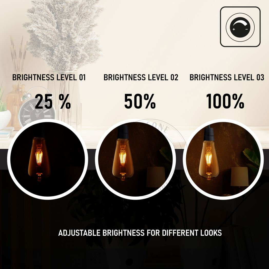 2Pack E27 LED Edison Dimmable Vintage Amber Glass Warm white 2700K Light Bulb