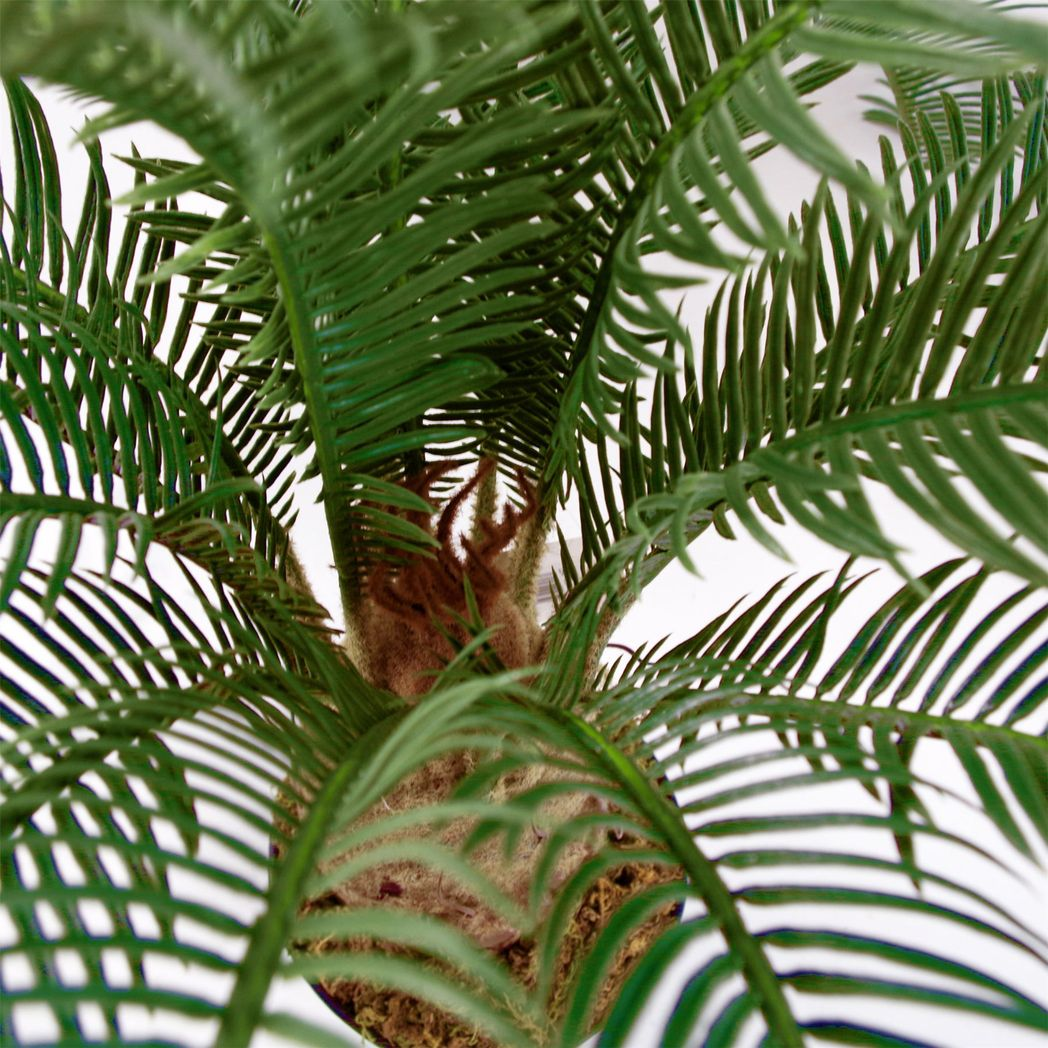 Leaf 60cm Cycas Palm Artificial Tree Tropical Plant