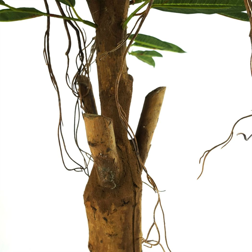 100cm Artificial Longfolia Ficus Tree with Natural Trunk, Silk Leaves, Hanging Plastic Vines, Potted in Black Pot