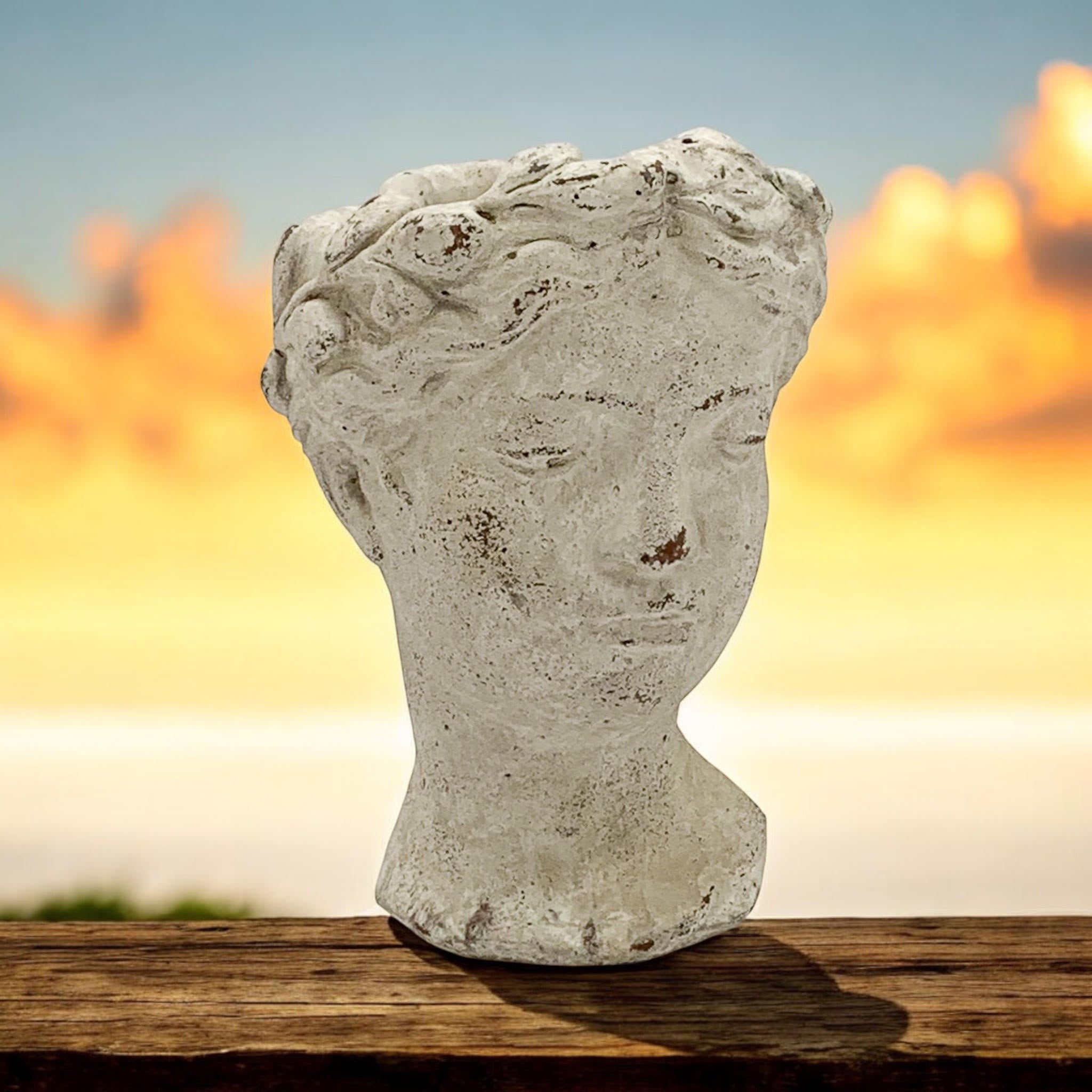 MSL 35cm Cream Cement Bust Pot