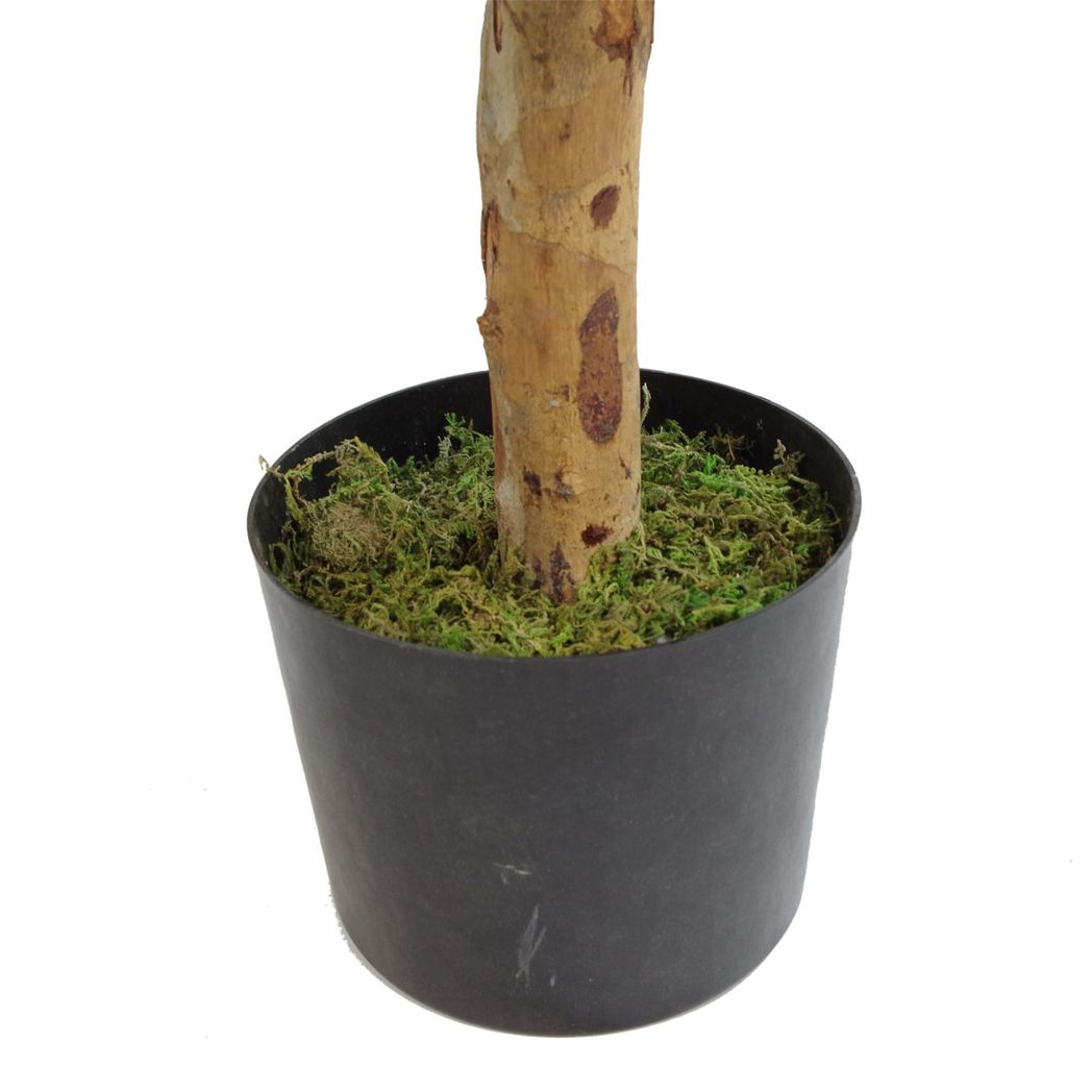100cm Artificial Dracaena Tree in Pot - Premium Range