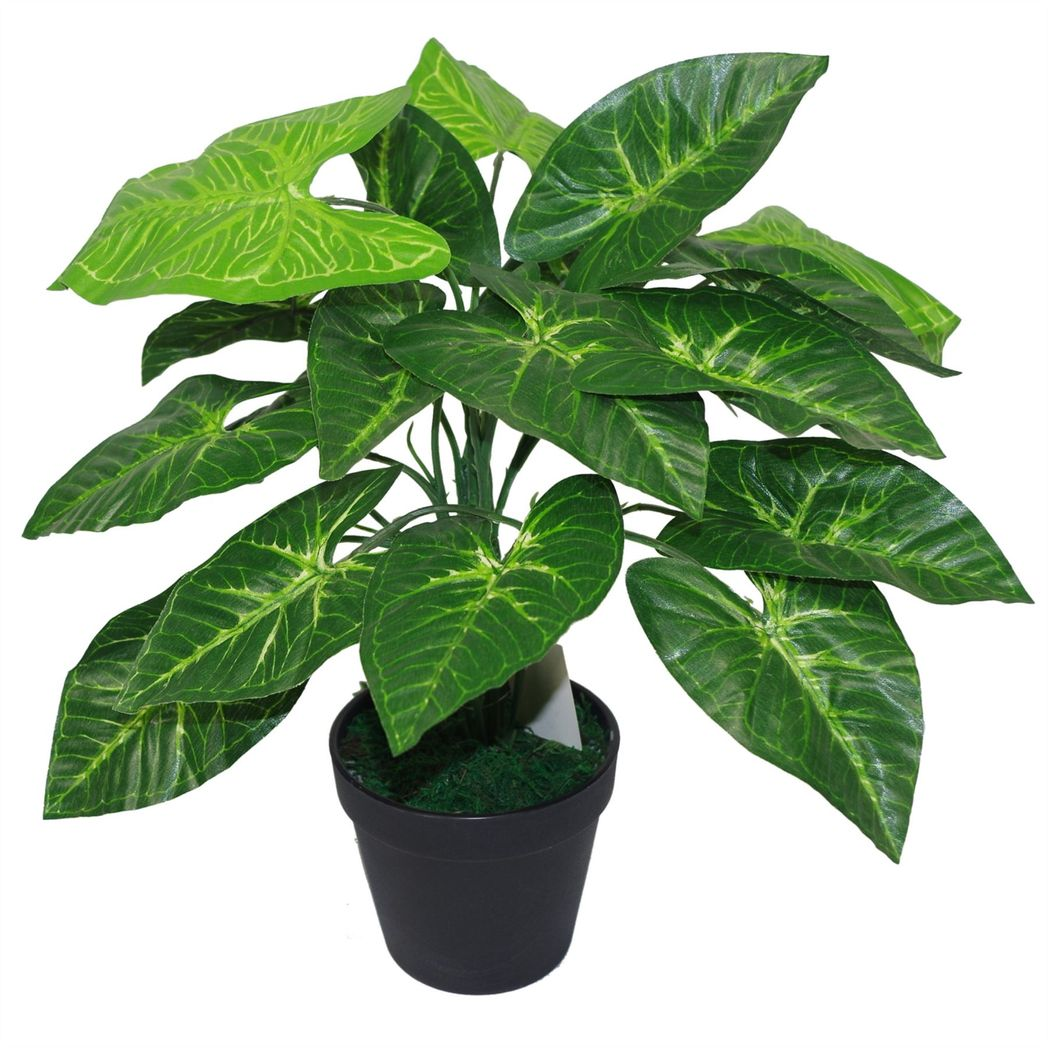 Leaf 45cm Artificial Dark Taro Plant in Moss Covered Pot