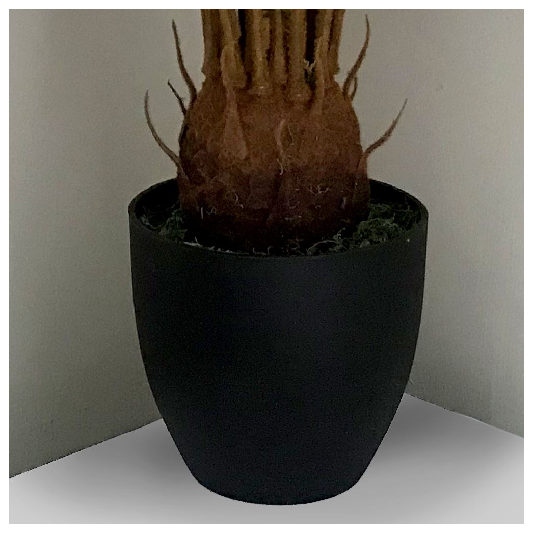 Leaf 70cm Artificial Tropical Cycas Palm Plant in Black Plastic Pot