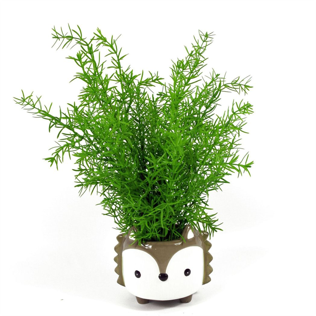 Leaf 45cm Artificial Asparagus Fern Plant, Unpotted Wired Stem Artificial Plant