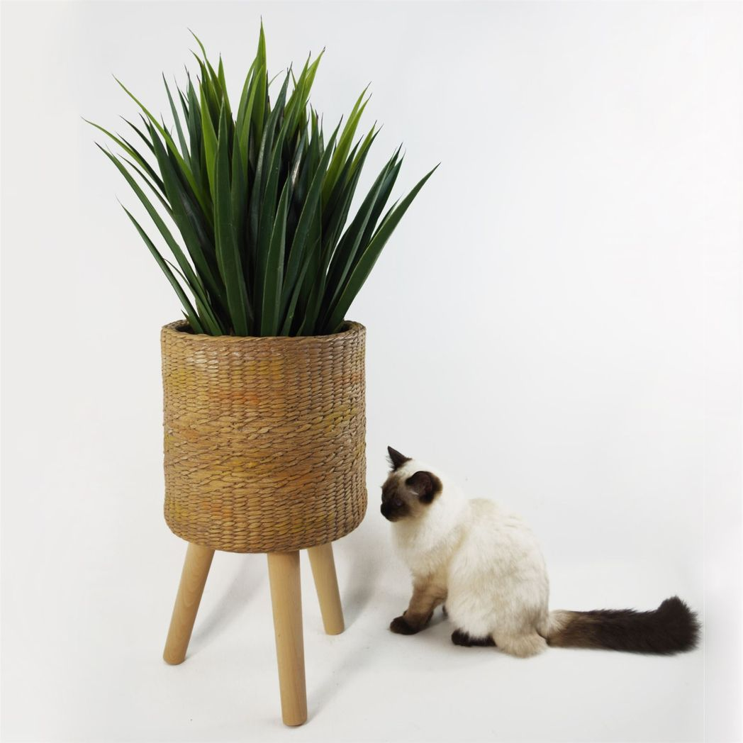 Leaf 54cm x 30cm Rattan Effect Fibreglass Composite Large Planter with Wooden Legs
