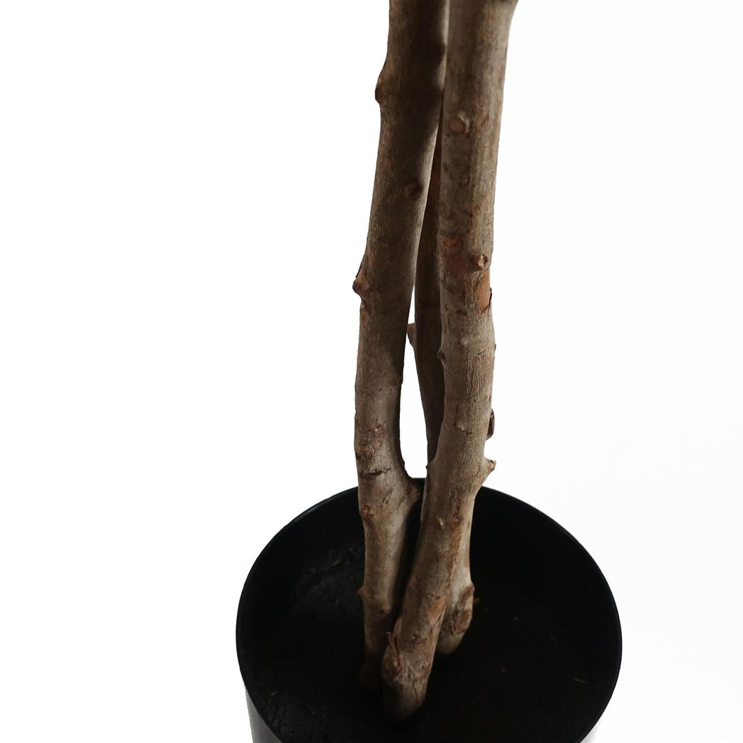 Leaf 60cm Artificial Forsythia Tree with Natural Wood Trunk and Yellow Silk Flowers