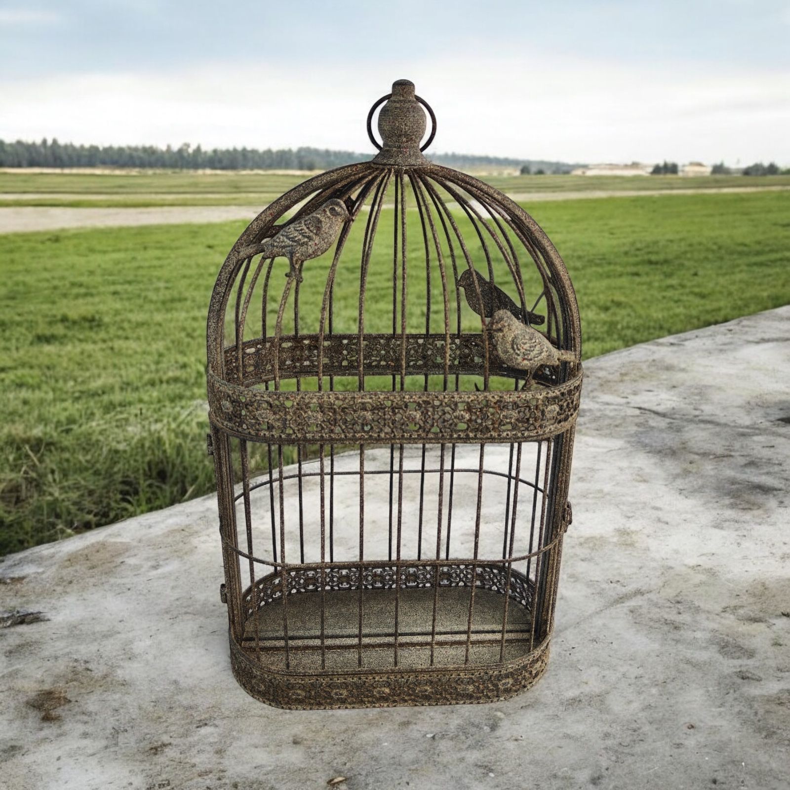 MSL 60cm Wall Mirror with Metal Cage, Decorative Garden Accessory
