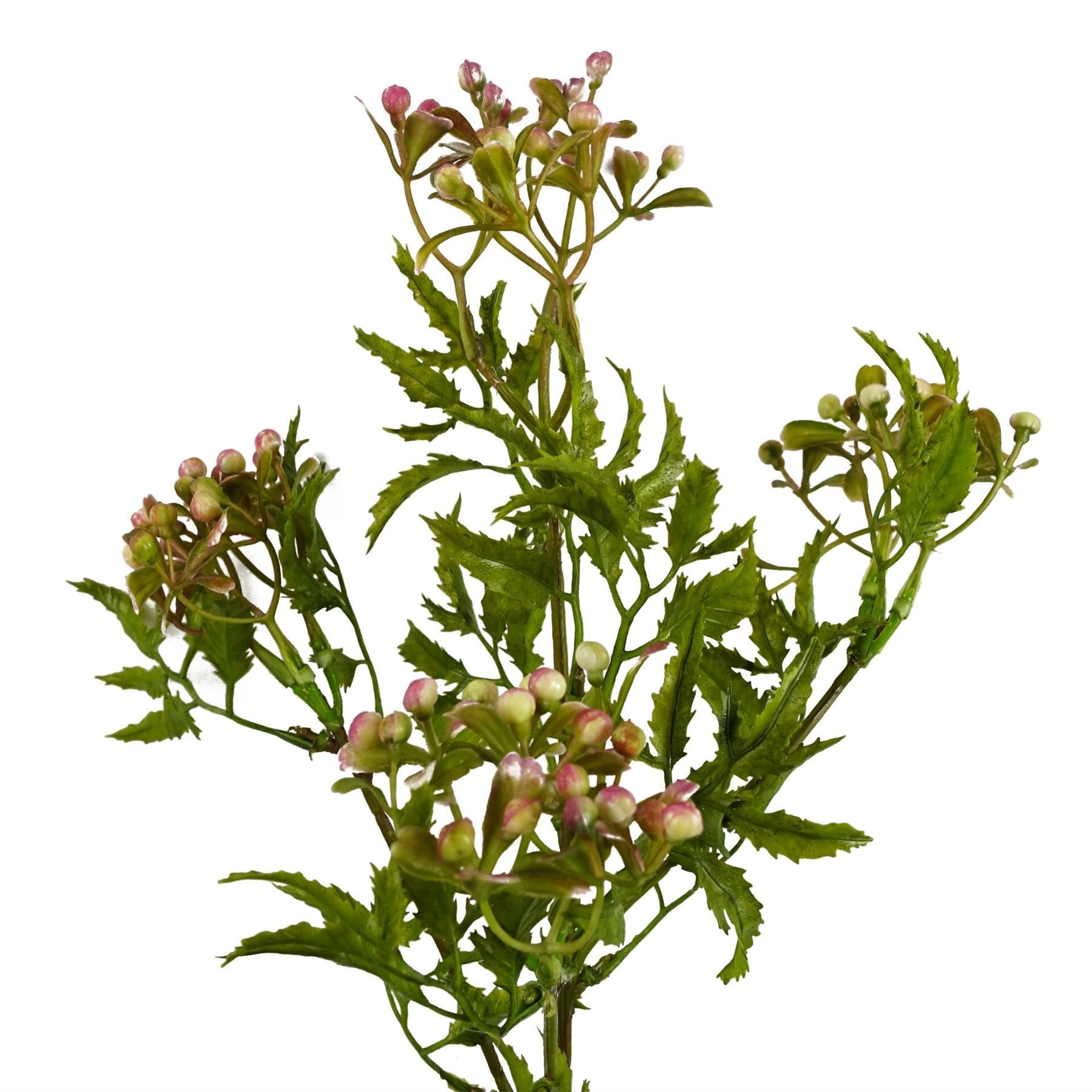 Leaf 55cm Artificial Foliage Stem with Pink Berries