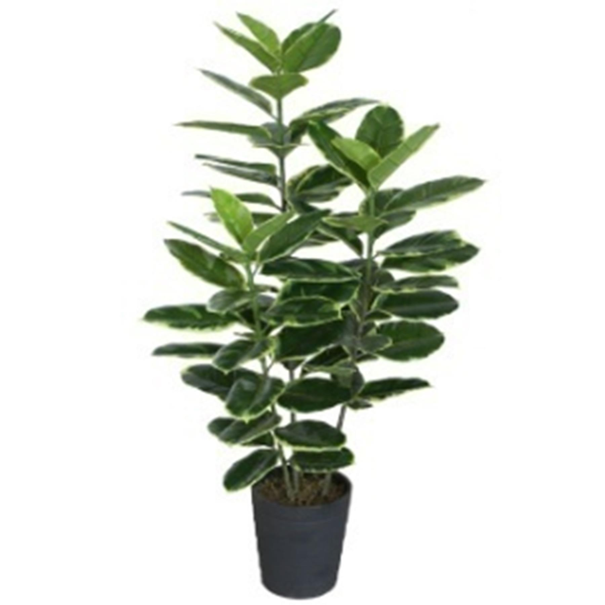 Leaf 120cm Artificial Rubber Tree in Black Plastic Pot