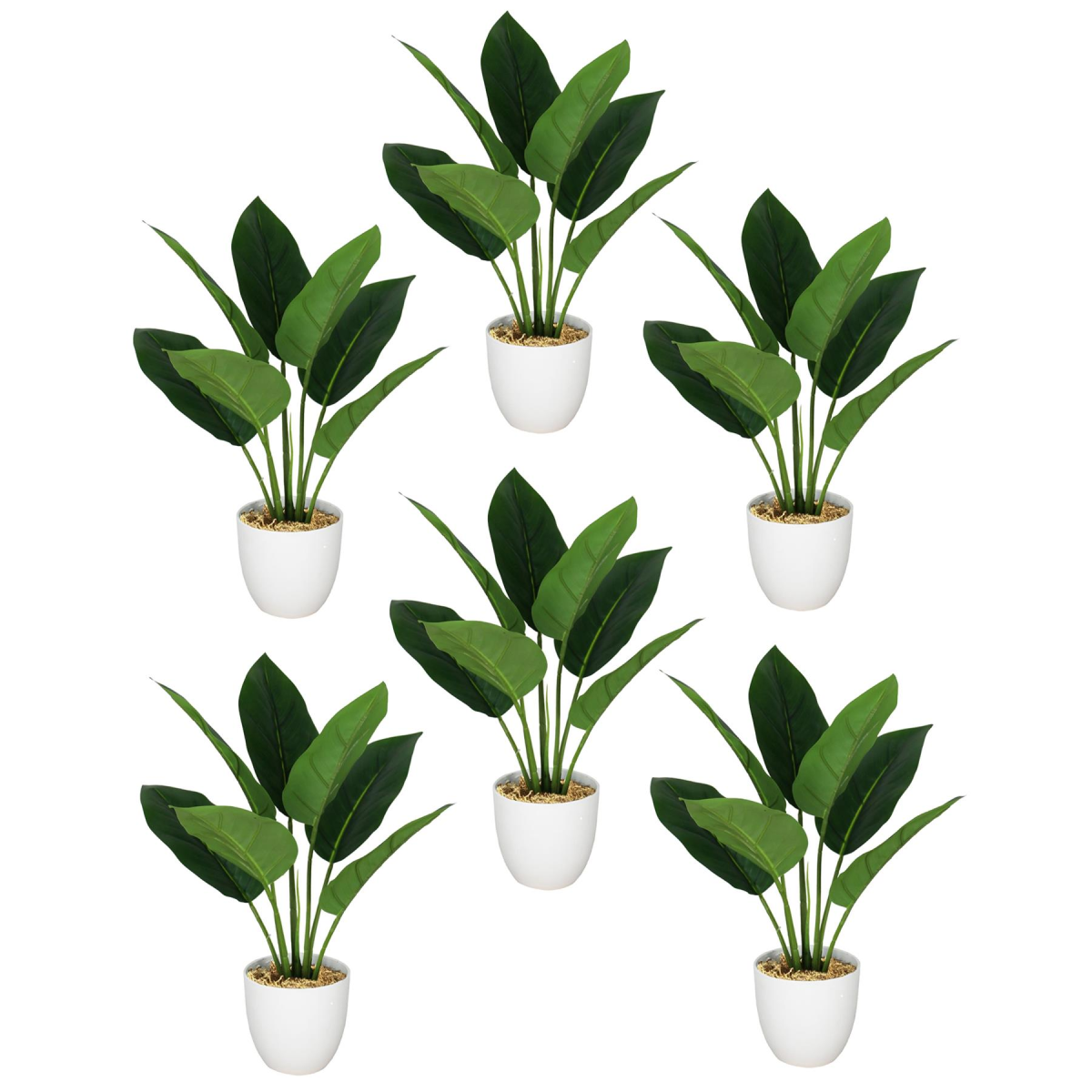 Leaf 45cm Artificial Aureum Artificial Plant in Pot